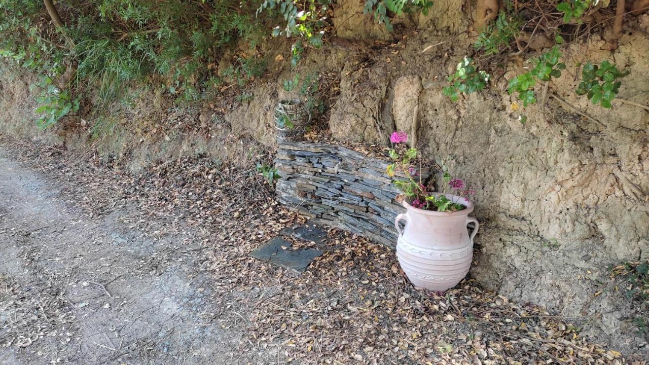 Aiolos Kalamaki  Exterior foto